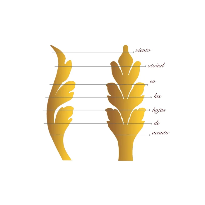 Viento otoñal en las hojas de acanto