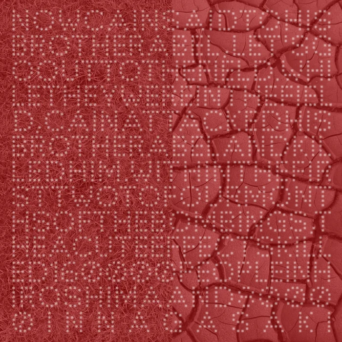 Díptico de la prosperidad nº1, (cubierta)